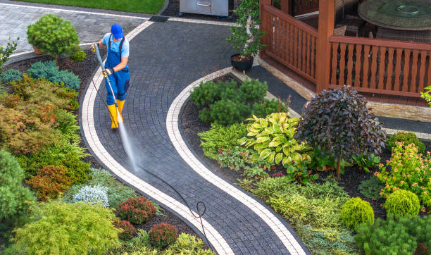Best Roof Pressure Washing  in Munford, AL