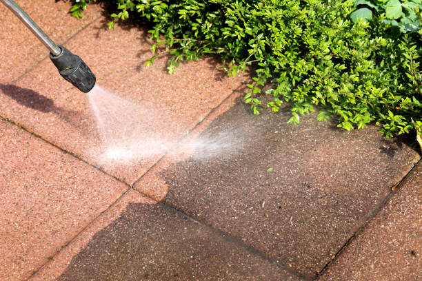 Best Roof Power Washing Services  in Munford, AL
